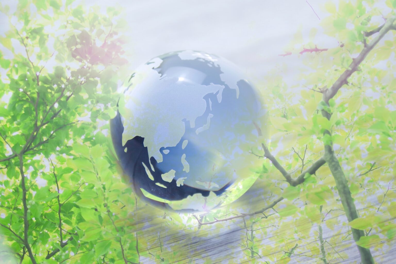 ものづくり補助金「グリーン枠」