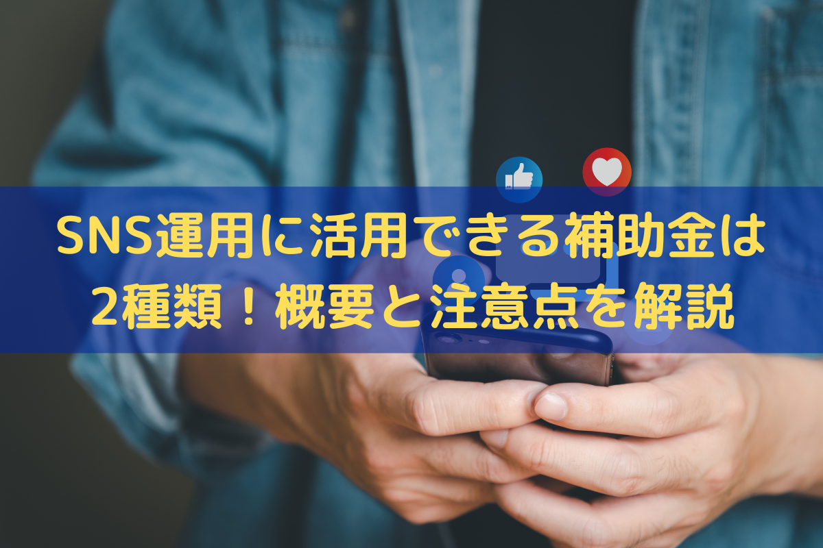 SNS運用の補助金