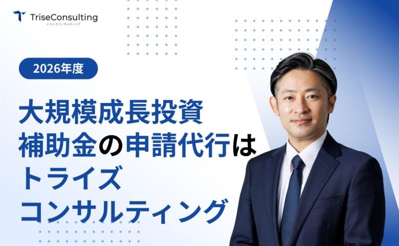 大規模成長投資